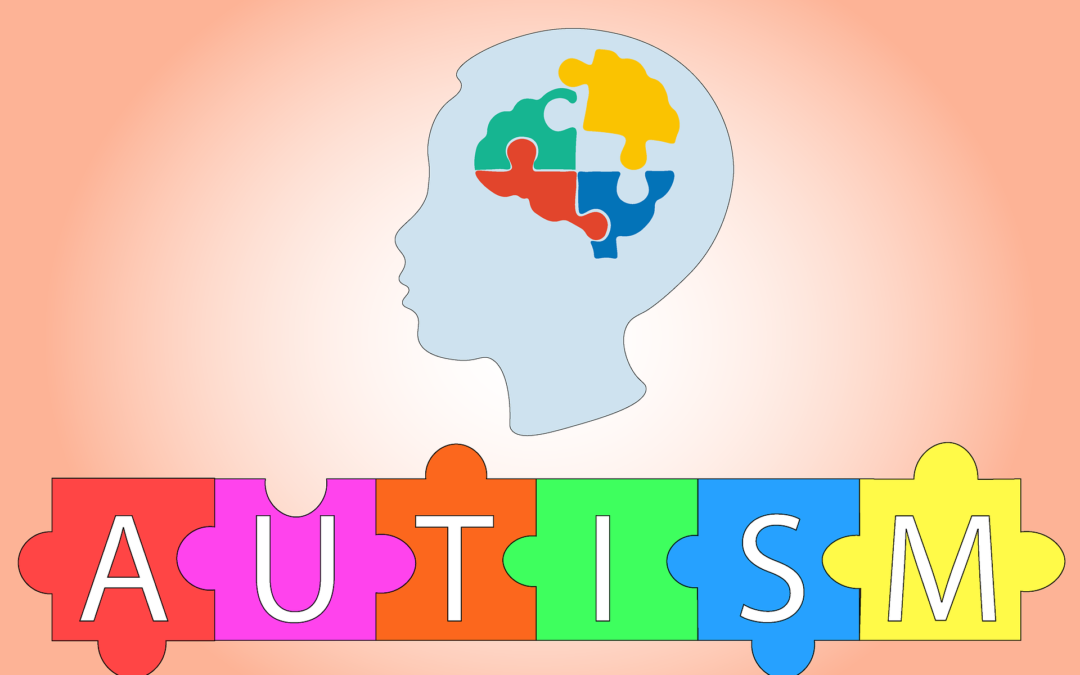 https://pixabay.com/pt/illustrations/autismo-quebra-cabe%c3%a7a-autista-4982235/